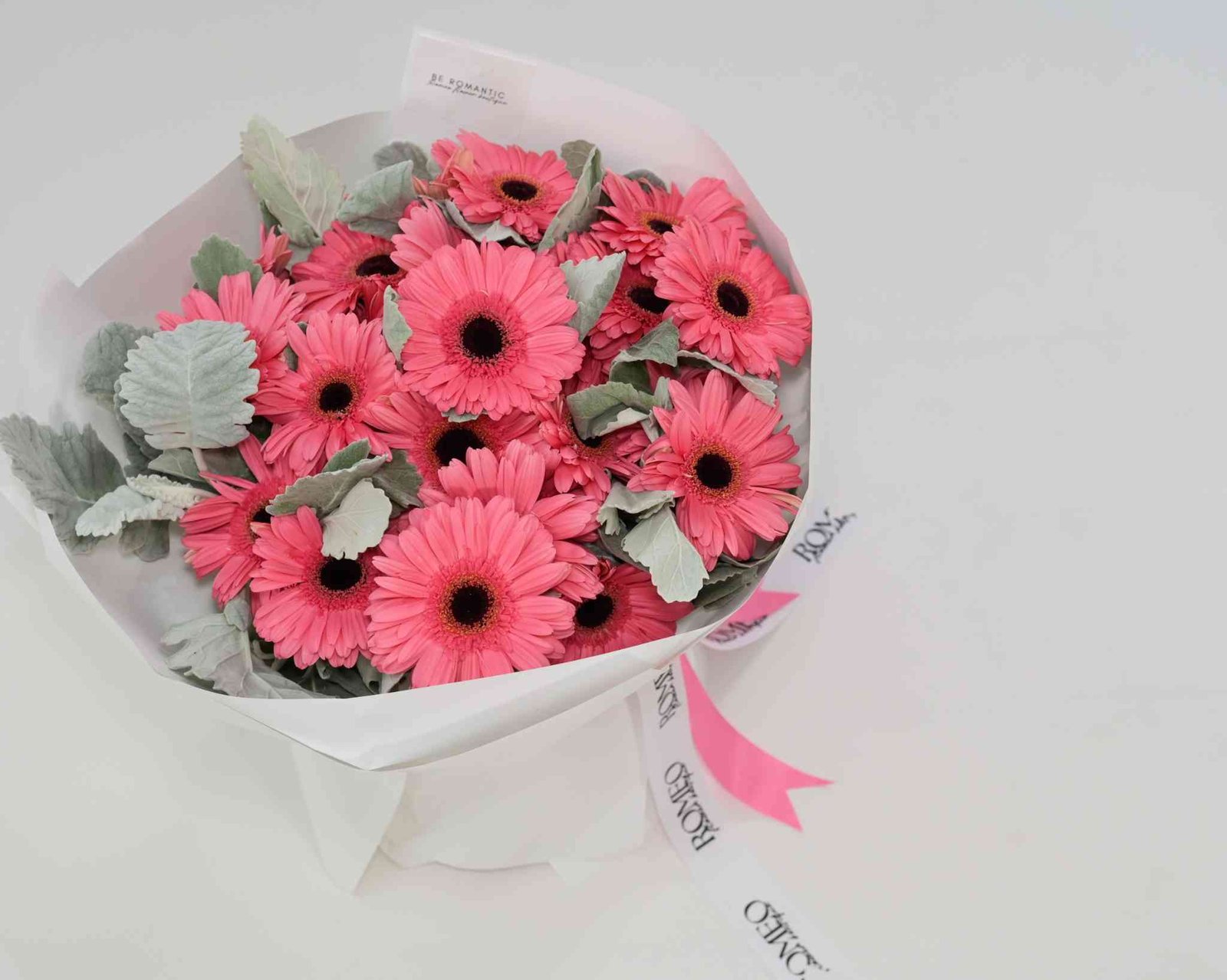 Gerberas Romeo