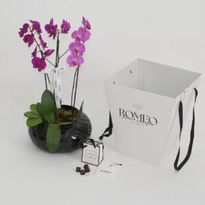 Arreglo de orquídeas Romeo Flower Boutique - imagen 1