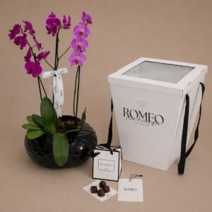 Premium purple Phalaenopsis orchid plant in elegant black vase with Romeo branded ribbon