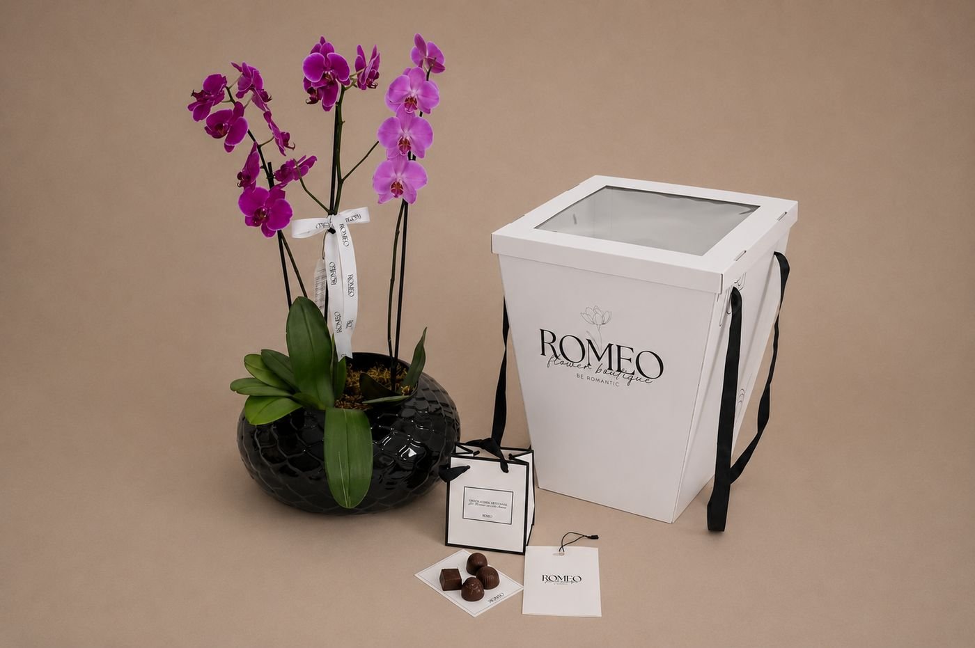 Orquídea Phalaenopsis