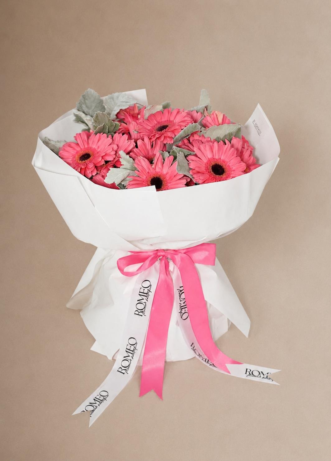 Gerberas Romeo