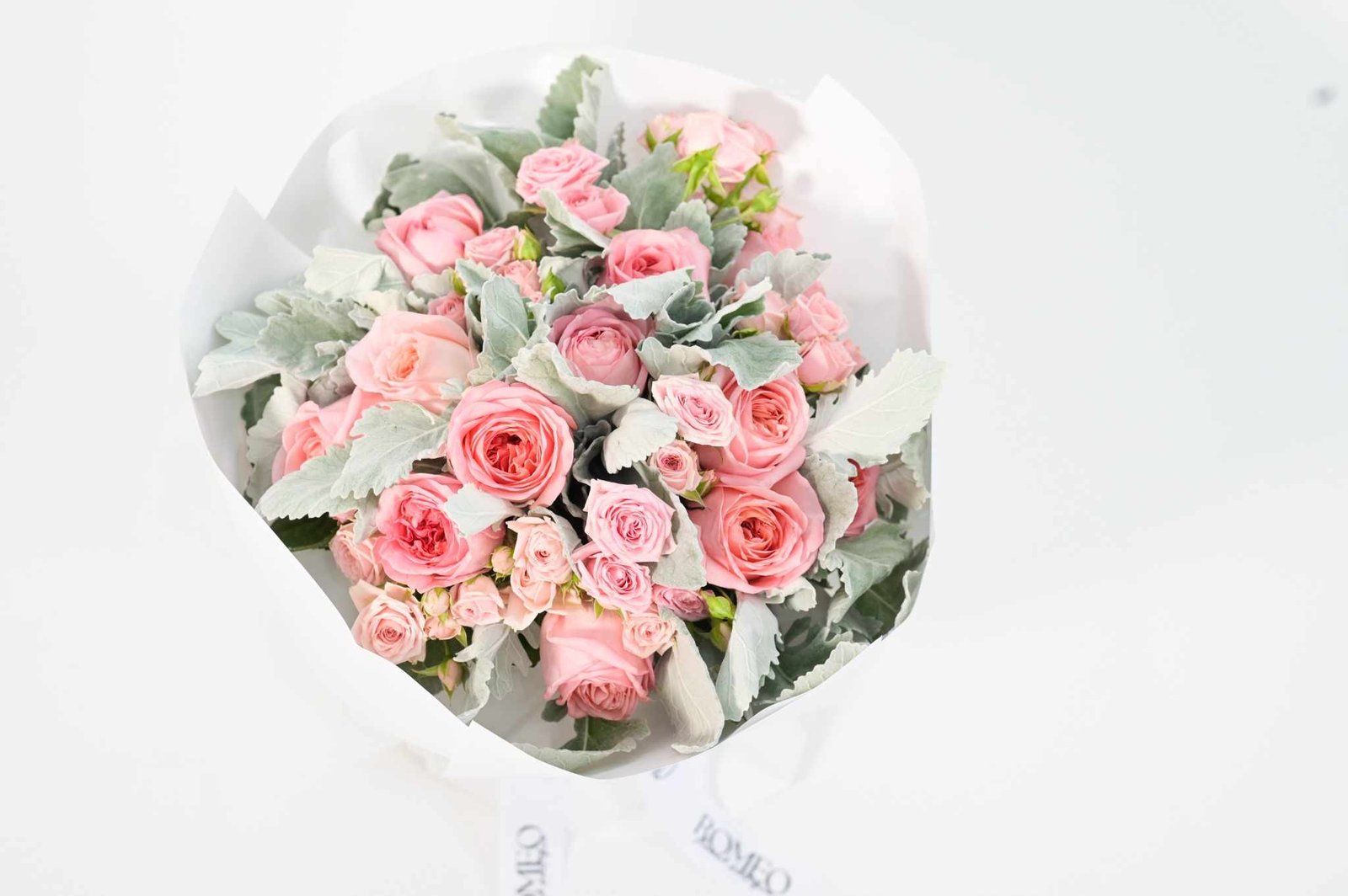Rosas pink