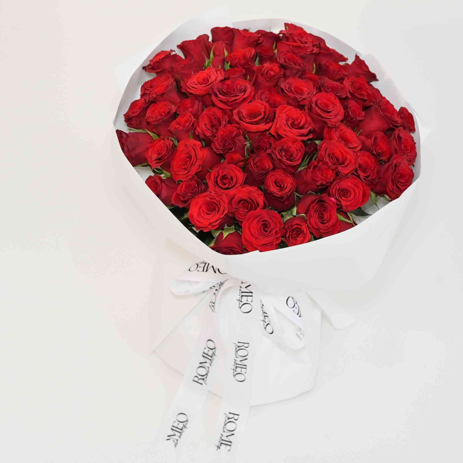 Rosas Romeo