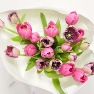 Arreglo de tulipanes Romeo Flower Boutique - imagen 1